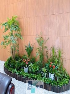 海曙企业大厅绿植组合摆放